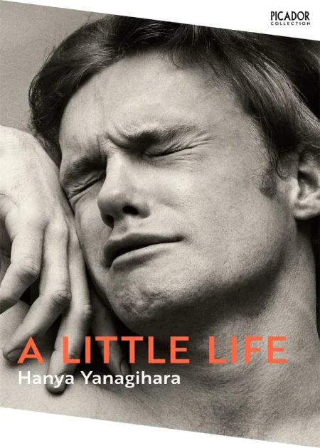 A Little Life A Novel by Hanya Yanagihara Picador Pan Macmillan paperback edition book cover Bookletto Sri Lanka